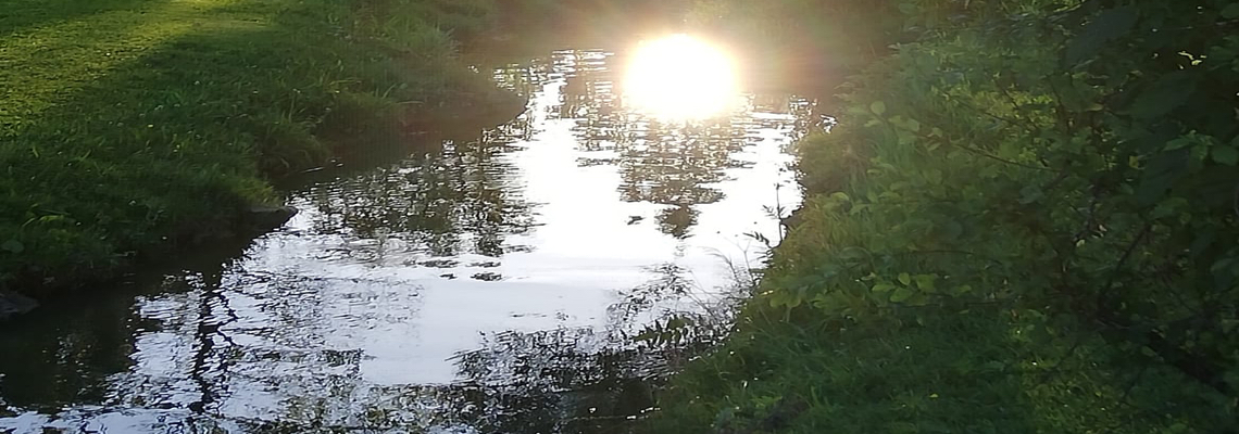 Birgit Schmidhofer - Sommer Sonnenwende Frage Meditation - Sonne im Bach